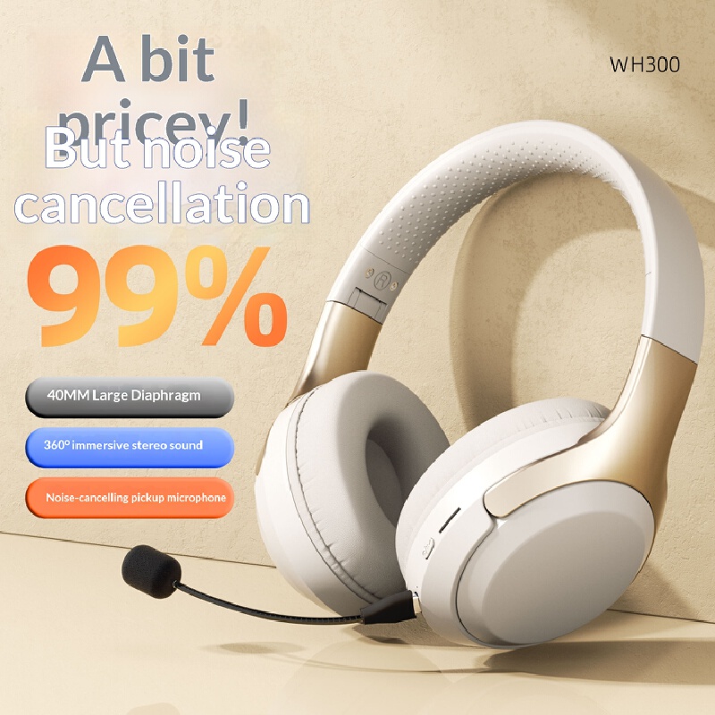 Over Ear Wireless Bluetooth He - Laptop Accessories Officeworks บทวิจารณ์และราคา